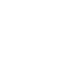 Developer Partner Logo 11
