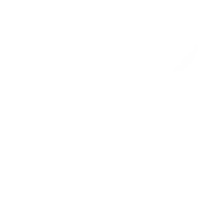 Developer Partner Logo 11