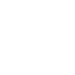 Developer Partner Logo 19